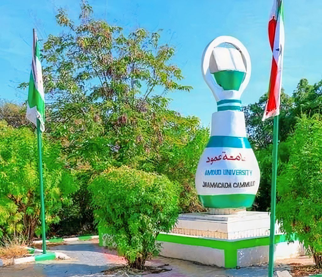 Amoud University
