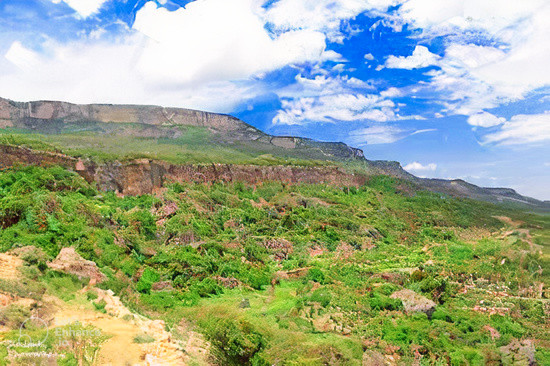 Daallo Forest & Mountains