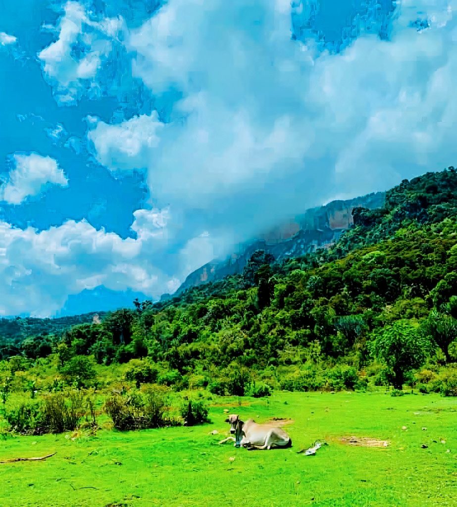 Stunning panoramic view of Erigavo